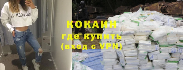 винт Гусев
