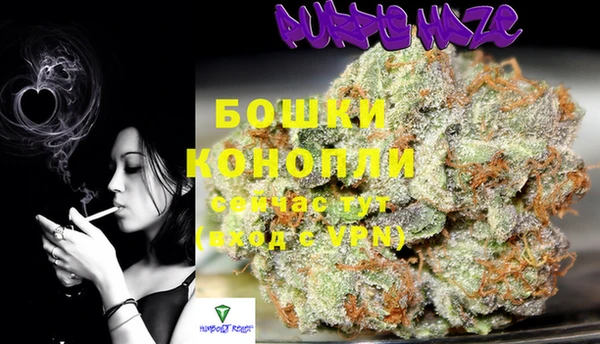 винт Гусев