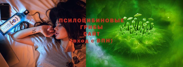 винт Гусев