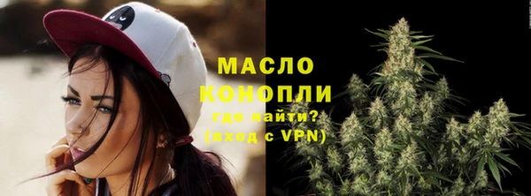 мдпв Гусь-Хрустальный