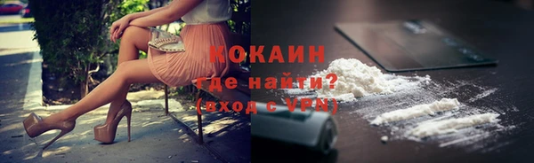 мдпв Гусь-Хрустальный
