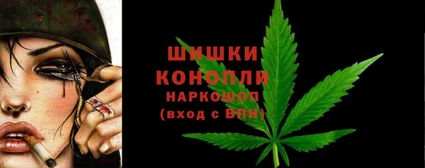 мдпв Гусь-Хрустальный