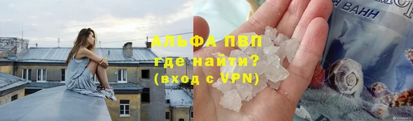 мдпв Гусь-Хрустальный