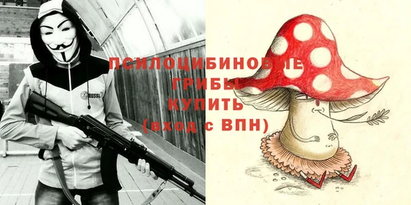 винт Гусев