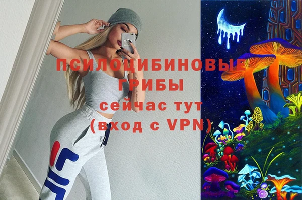 винт Гусев