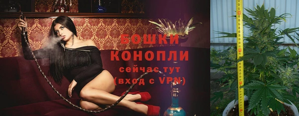 мдпв Гусь-Хрустальный