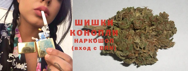 винт Гусев
