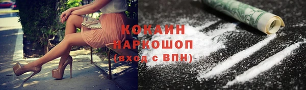 мдпв Гусь-Хрустальный