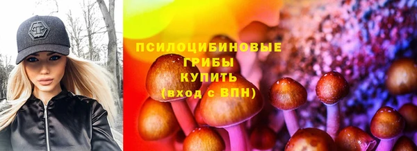 МДПВ Гусиноозёрск
